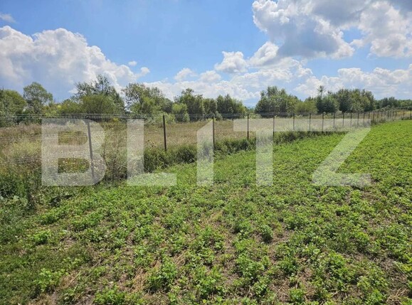 Teren de vânzare Hălchiu - 160793TV | BLITZ Brașov | Poza2