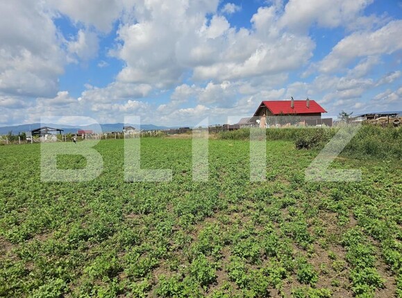 Teren de vânzare Hălchiu - 160793TV | BLITZ Brașov | Poza1