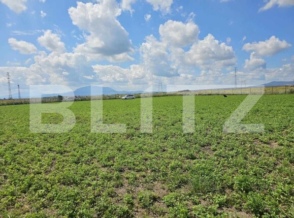 Teren de vânzare Hălchiu - 160793TV | BLITZ Brașov | Poza3