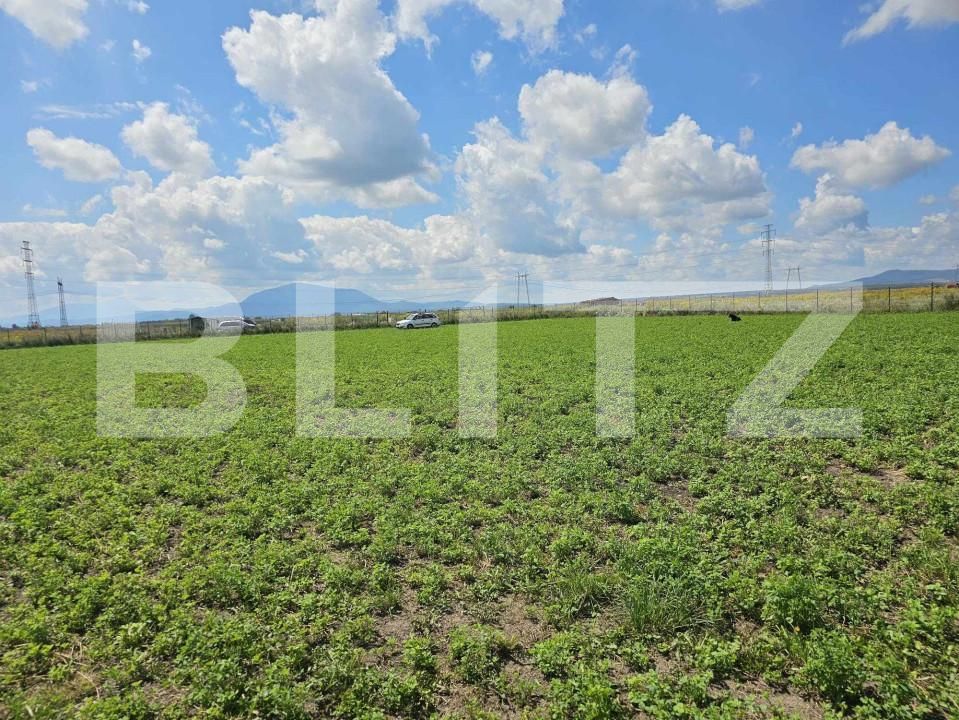 Teren de vânzare Hălchiu - 160793TV | BLITZ Brașov | Poza3