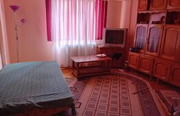 Garsoniera, 30mp, decomandata, zona strazii Somesului