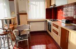 Apartament cu 2 camere, bloc nou, 45 mp, pet friendly, zona strazii Negoiu