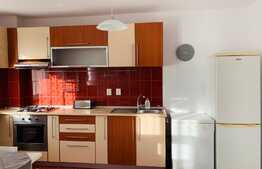 Apartament cu 2 camere, bloc nou, 45 mp, pet friendly, zona strazii Negoiu
