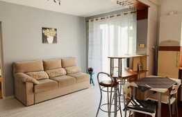 Apartament cu 2 camere, bloc nou, 45 mp, pet friendly, zona strazii Negoiu