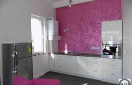 4 camere, 150 mp, terasa 200 mp, totul nou la prima inchiriere, zona Iulius Mall