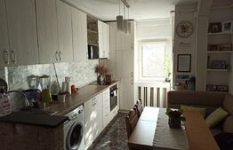 Apartament cu 2 camere, decomandat, orientare sudica, zona Plopilor