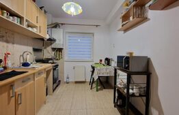 Apartament cu 1 camera, 44mp, parcare, terasa, zona Vivo