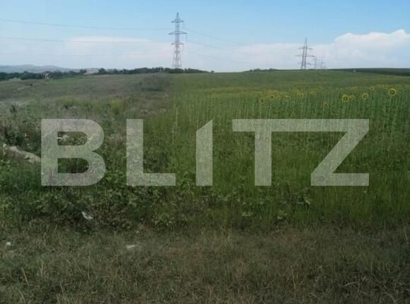 Teren de vânzare Jucu de Sus - 160856TV | BLITZ Cluj-Napoca | Poza1