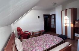 Casă spațioasă de vânzare,120 mp utili, 1900 mp teren