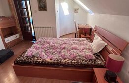 Casă spațioasă de vânzare,120 mp utili, 1900 mp teren