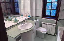 Casă spațioasă de vânzare,120 mp utili, 1900 mp teren