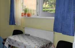 1 camera, 35 mp utili, parcare, boxa la subsol, zona strazii Horea!