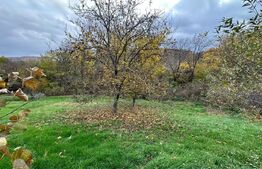 Casa individuala 130mp, curte, anexe, gradina 1400mp zona Baciu 