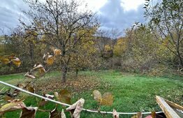 Casa individuala 130mp, curte, anexe, gradina 1400mp zona Baciu 