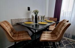 Apartament 1 camera, cartier Zorilor 