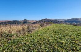 Teren 963mp, pretabil pt constructie case, zona Stolna