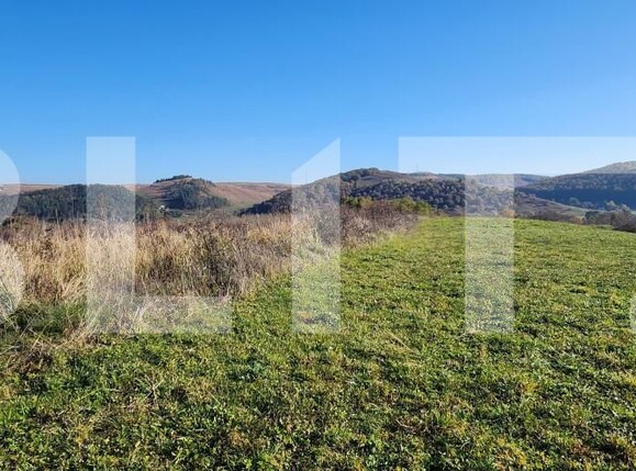 Teren de vânzare Gilău - 161029TV | BLITZ Cluj-Napoca | Poza2