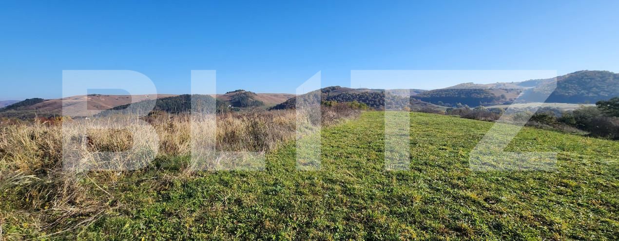 Teren de vânzare Gilău - 161029TV | BLITZ Cluj-Napoca | Poza2