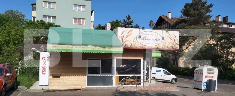 Spațiu comercial de vânzare Astra - 161058SVC | BLITZ Brașov | Poza6