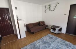 Apartament 1 camera, 35mp, zona strazii Plevnei