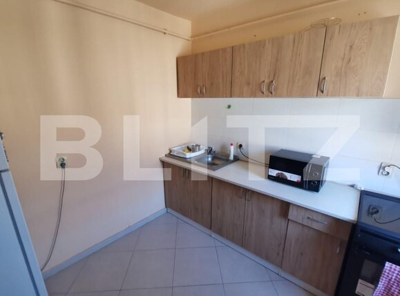 Garsonieră de închiriat Someseni - 161072AI | BLITZ Cluj-Napoca | Poza8