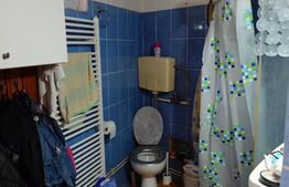 Casa de vanzare in Bartolomeu - Oportunitate de Investitie