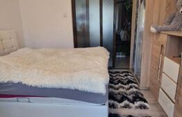 Apartament 2 camere zona Gemenii, loc parcare, pivnita, mobilata 