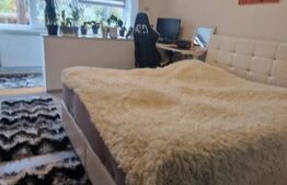 Apartament 2 camere zona Gemenii, loc parcare, pivnita, mobilata 