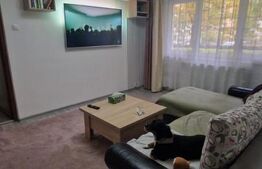 Apartament 2 camere zona Gemenii, loc parcare, pivnita, mobilata 