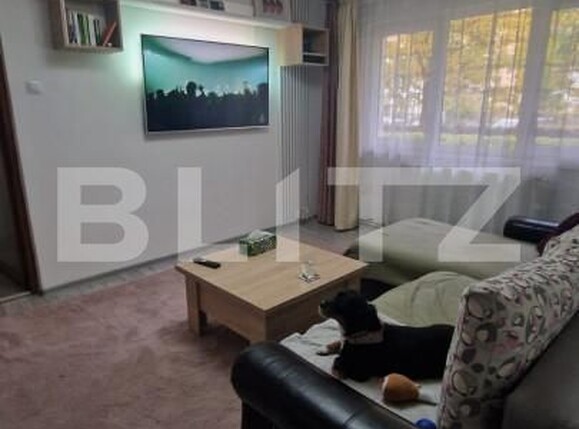 Apartament de vânzare 2 camere Gemenii - 161080AV | BLITZ Brașov | Poza13