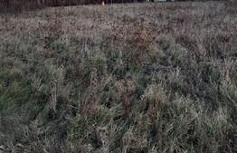 Teren intravilan in Bod -  Brasov