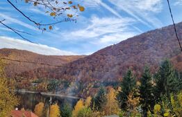 Teren extravilan 1200 mp, cu cabana, Tarnita, iesire la lac!