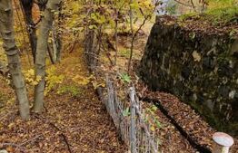 Teren extravilan 1200 mp, cu cabana, Tarnita, iesire la lac!