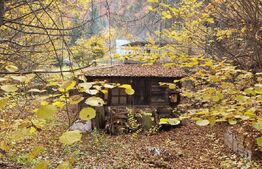 Teren extravilan 1200 mp, cu cabana, Tarnita, iesire la lac!