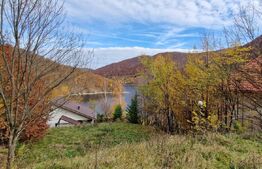 Teren extravilan 1200 mp, cu cabana, Tarnita, iesire la lac!