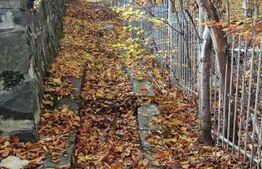 Teren extravilan 1200 mp, cu cabana, Tarnita, iesire la lac!