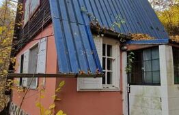 Teren extravilan 1200 mp, cu cabana, Tarnita, iesire la lac!