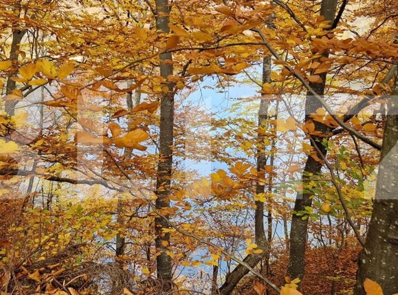 Teren de vânzare Exterior Vest - 161131TV | BLITZ Cluj-Napoca | Poza3