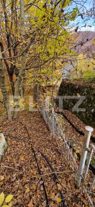 Teren de vânzare Exterior Vest - 161131TV | BLITZ Cluj-Napoca | Poza6