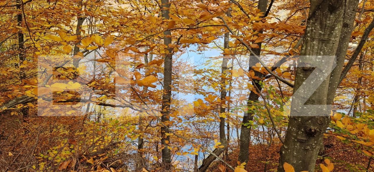 Teren de vânzare Exterior Vest - 161131TV | BLITZ Cluj-Napoca | Poza3