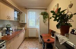 Apartament 2 camere, 50 mp, balcon, zona Piata Abator