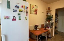 Apartament 2 camere, 50 mp, balcon, zona Piata Abator