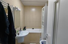 Studio Lux, openspace, 39mp, peste drum de Coresi, Tractorul 