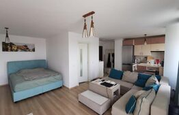 Studio Lux, openspace, 39mp, peste drum de Coresi, Tractorul 