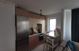 Studio Lux, openspace, 39mp, peste drum de Coresi, Tractorul 