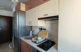 Studio Lux, openspace, 39mp, peste drum de Coresi, Tractorul 