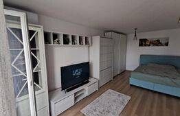 Studio Lux, openspace, 39mp, peste drum de Coresi, Tractorul 