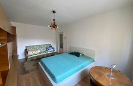 Apartament 1 camera, 35mp, zona Calea Floresti