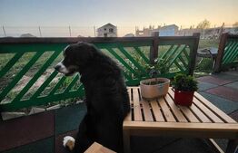 Casa individuala, langa Brasov