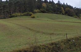 Teren Intravilan in Codlea